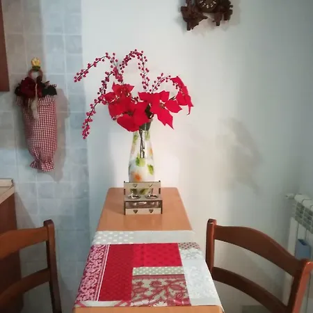 Dorota * קאסרטה